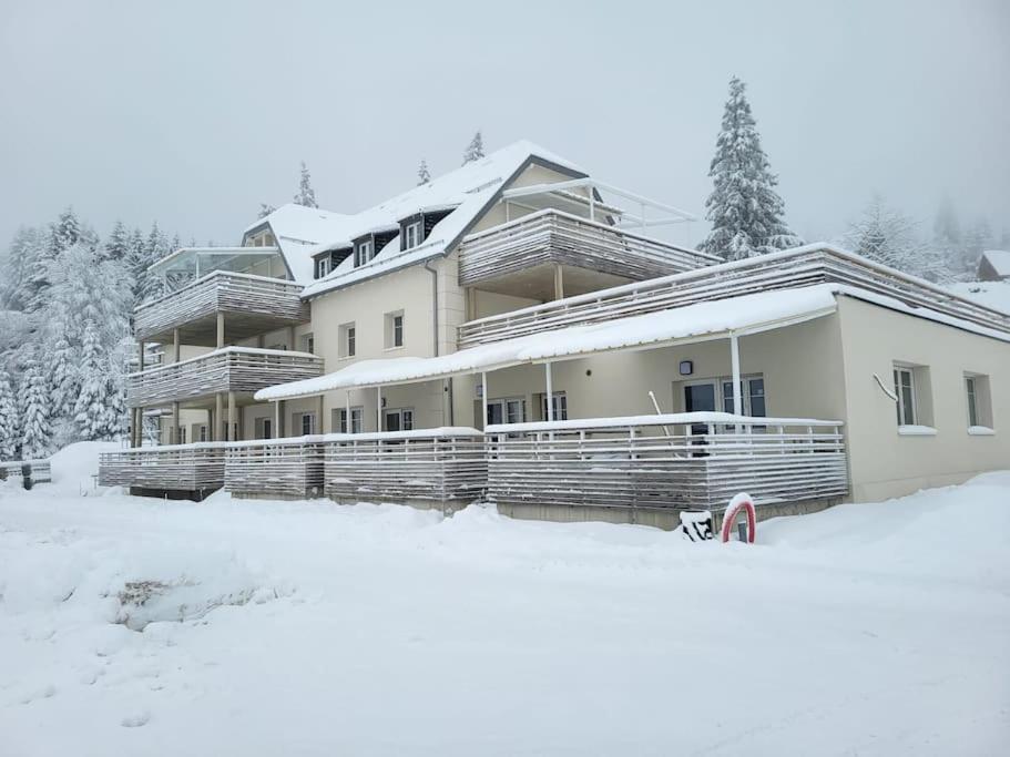 Appartement Chaleureux Au Pied Des Pistes Orbey Dış mekan fotoğraf
