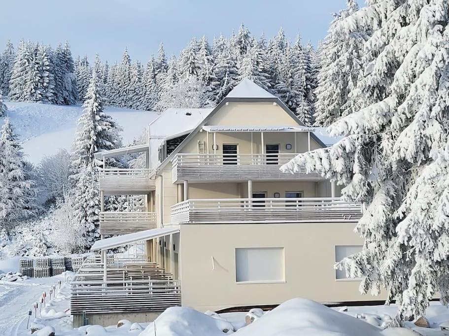 Appartement Chaleureux Au Pied Des Pistes Orbey Dış mekan fotoğraf